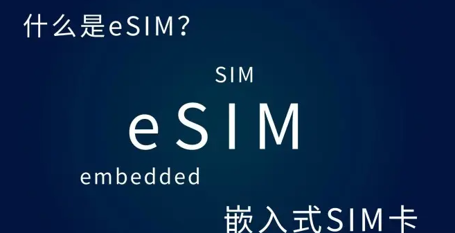 智能eSIM卡對(duì)物聯(lián)網(wǎng)技術(shù)的影響。效果圖